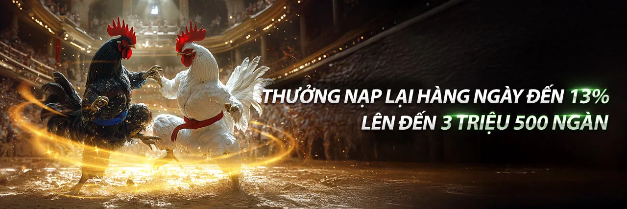 Hình ảnh đại diện trang Câu Hỏi Thường Gặp của U888